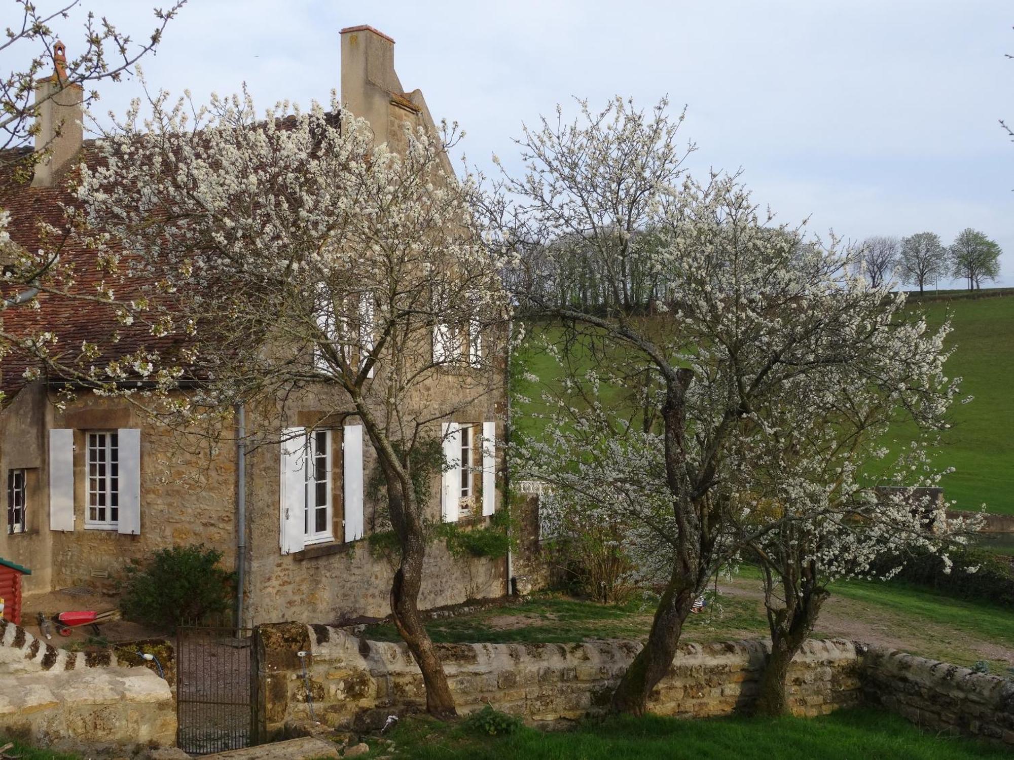 Domaine De Dremont Bed & Breakfast Anthien Exterior foto