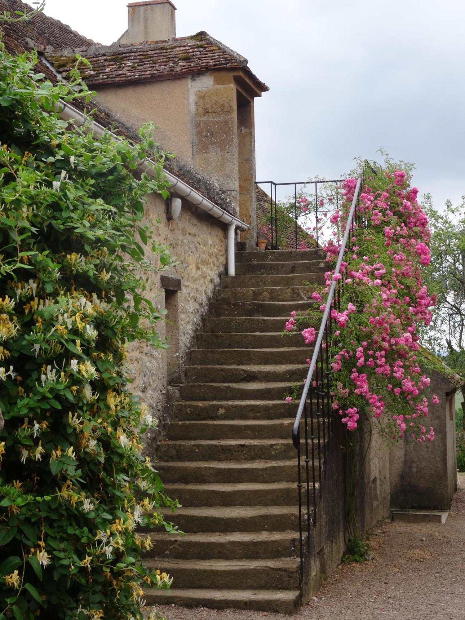 Domaine De Dremont Bed & Breakfast Anthien Exterior foto