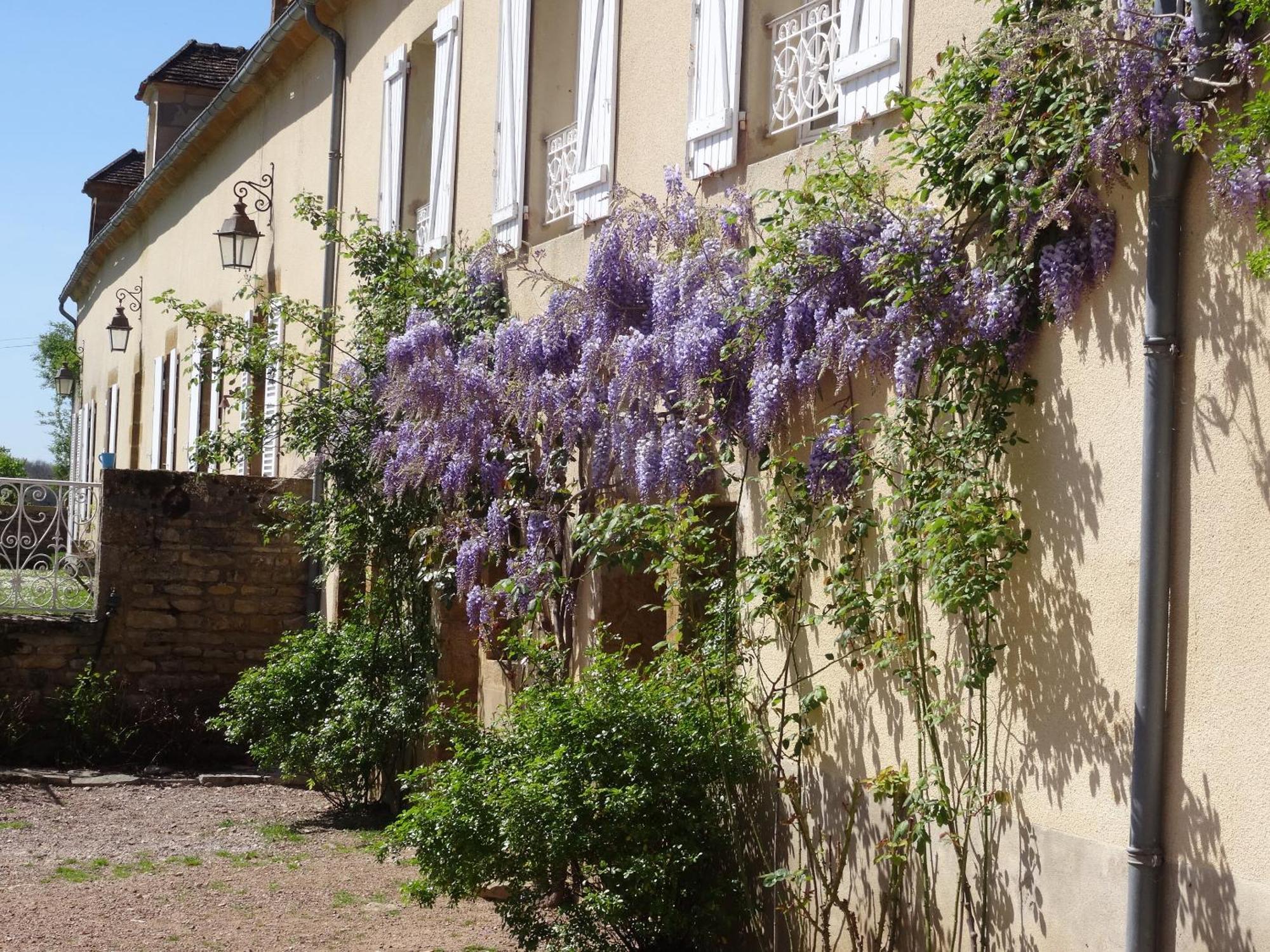 Domaine De Dremont Bed & Breakfast Anthien Exterior foto