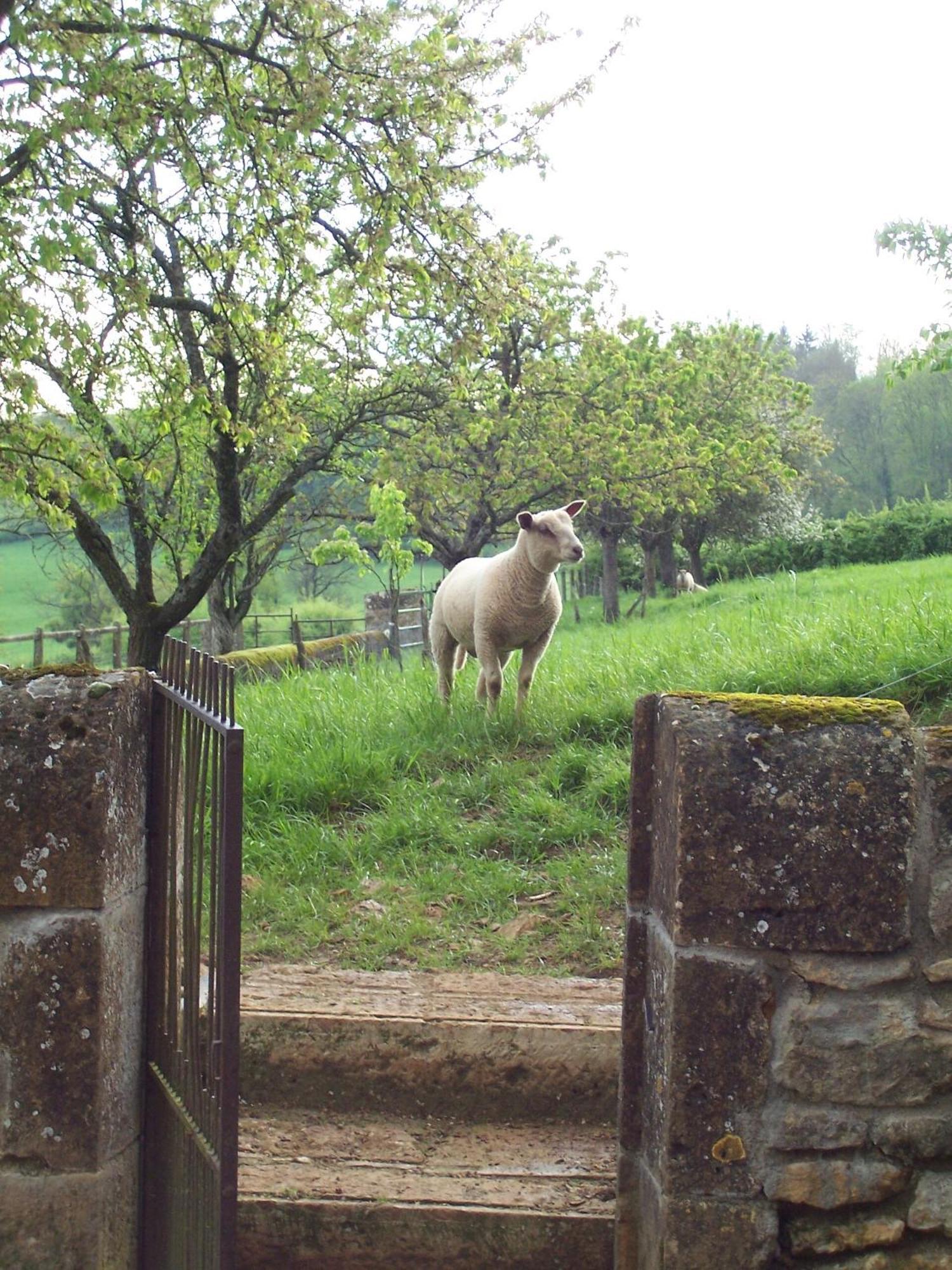 Domaine De Dremont Bed & Breakfast Anthien Exterior foto