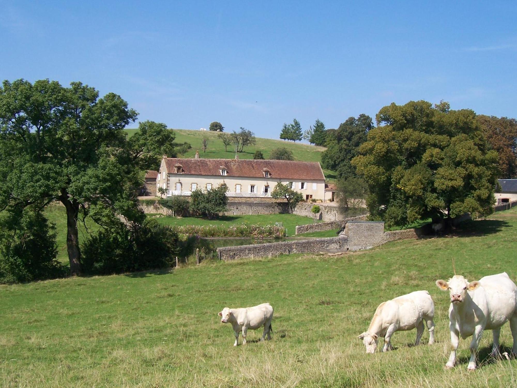 Domaine De Dremont Bed & Breakfast Anthien Exterior foto
