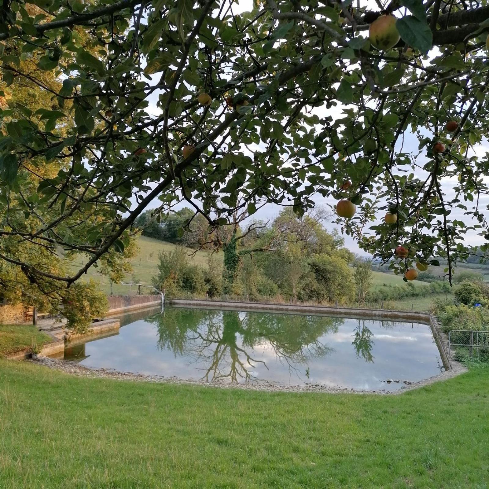 Domaine De Dremont Bed & Breakfast Anthien Exterior foto